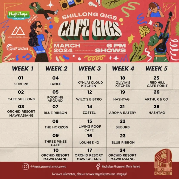 Shg Cafe Gigs March